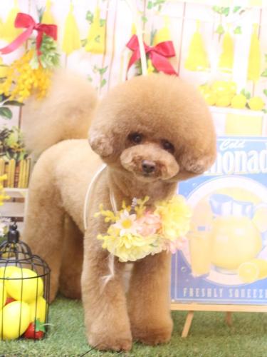 20240414こじろうくん